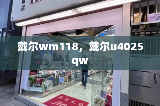 戴尔wm118，戴尔u4025qw-第1张图片-星选测评