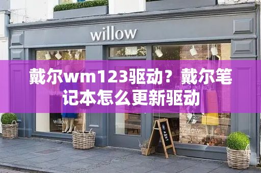 戴尔wm123驱动？戴尔笔记本怎么更新驱动