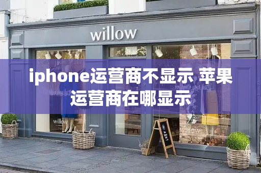 iphone运营商不显示 苹果运营商在哪显示