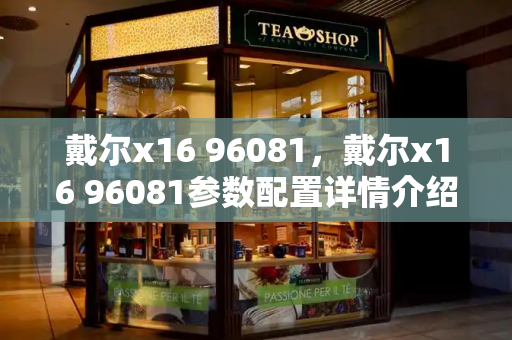 戴尔x16 96081，戴尔x16 96081参数配置详情介绍-第1张图片-星选测评
