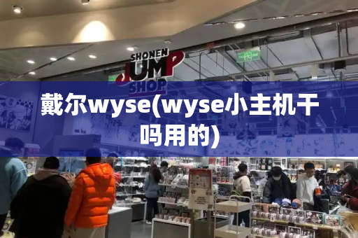 戴尔wyse(wyse小主机干吗用的)-第1张图片-星选测评
