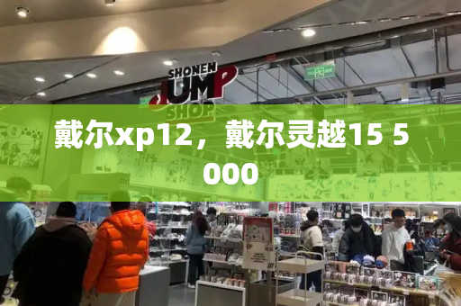 戴尔xp12，戴尔灵越15 5000