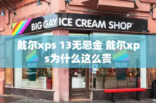 戴尔xps 13无忌金 戴尔xps为什么这么贵-第1张图片-星选测评