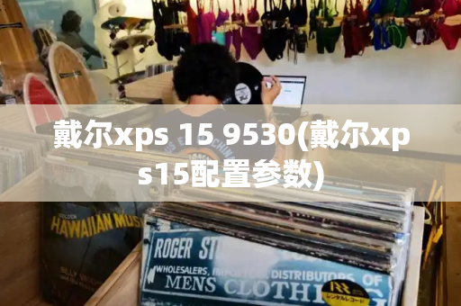 戴尔xps 15 9530(戴尔xps15配置参数)-第1张图片-星选测评