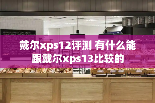 戴尔xps12评测 有什么能跟戴尔xps13比较的-第1张图片-星选测评