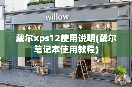 戴尔xps12使用说明(戴尔笔记本使用教程)