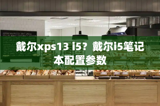 戴尔xps13 i5？戴尔i5笔记本配置参数-第1张图片-星选测评