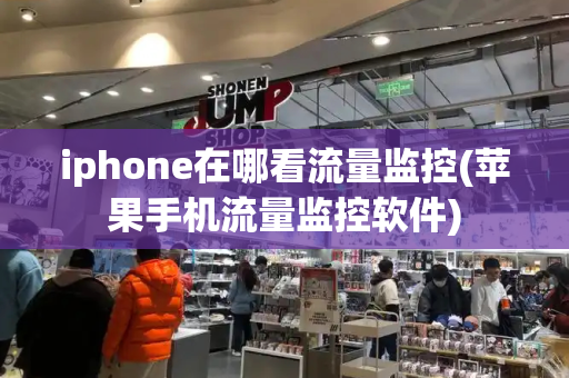 iphone在哪看流量监控(苹果手机流量监控软件)
