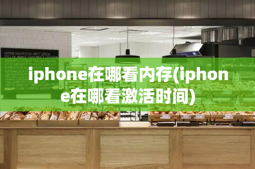 iphone在哪看内存(iphone在哪看激活时间)-第1张图片-星选测评