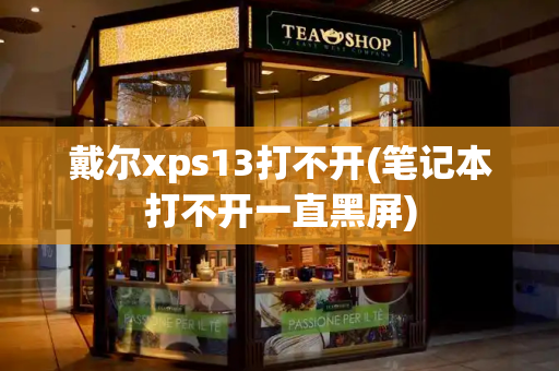 戴尔xps13打不开(笔记本打不开一直黑屏)-第1张图片-星选测评