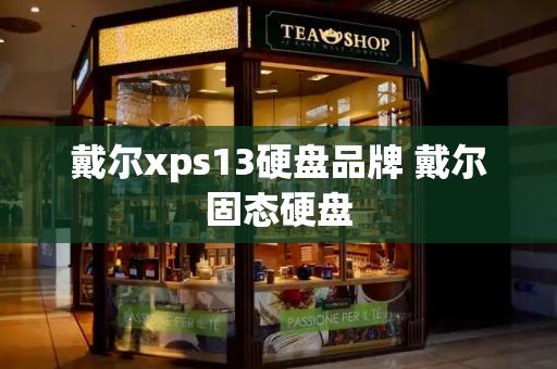 戴尔xps13硬盘品牌 戴尔固态硬盘