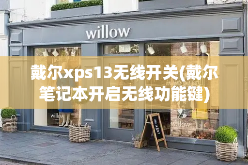 戴尔xps13无线开关(戴尔笔记本开启无线功能键)-第1张图片-星选测评