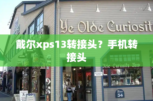 戴尔xps13转接头？手机转接头-第1张图片-星选测评