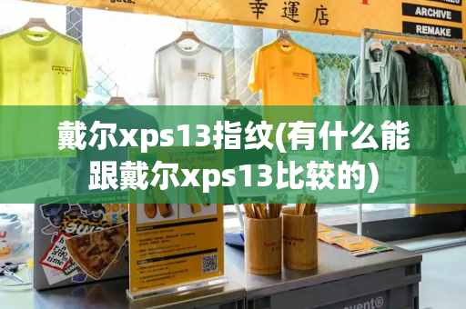 戴尔xps13指纹(有什么能跟戴尔xps13比较的)-第1张图片-星选测评