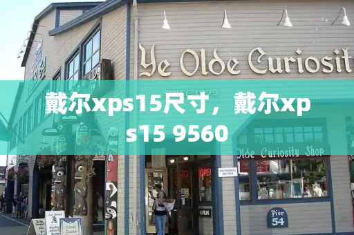 戴尔xps15尺寸，戴尔xps15 9560-第1张图片-星选测评