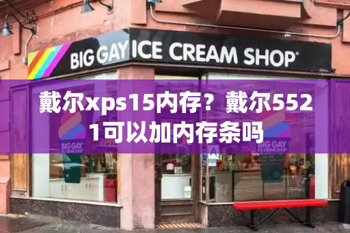 戴尔xps15内存？戴尔5521可以加内存条吗-第1张图片-星选测评