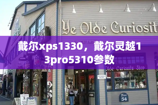 戴尔xps1330，戴尔灵越13pro5310参数-第1张图片-星选测评