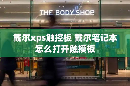 戴尔xps触控板 戴尔笔记本怎么打开触摸板