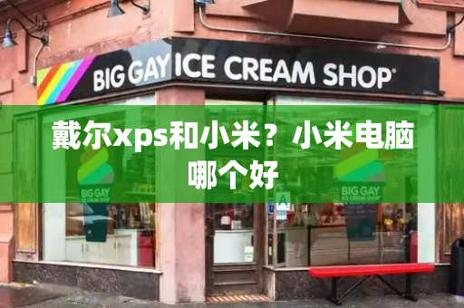 戴尔xps和小米？小米电脑哪个好-第1张图片-星选测评