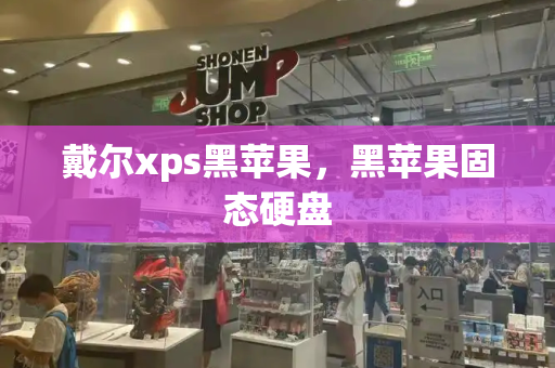 戴尔xps黑苹果，黑苹果固态硬盘