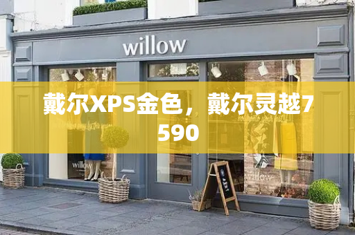 戴尔XPS金色，戴尔灵越7590-第1张图片-星选测评
