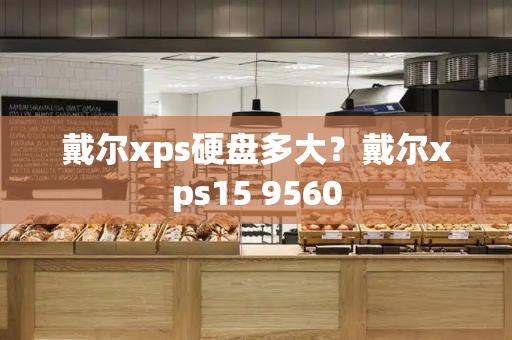 戴尔xps硬盘多大？戴尔xps15 9560-第1张图片-星选测评
