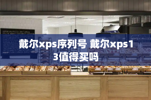 戴尔xps序列号 戴尔xps13值得买吗-第1张图片-星选测评