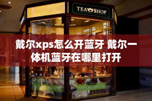 戴尔xps怎么开蓝牙 戴尔一体机蓝牙在哪里打开-第1张图片-星选测评