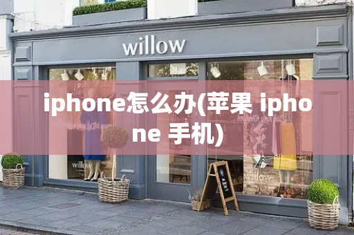 iphone怎么办(苹果 iphone 手机)-第1张图片-星选测评