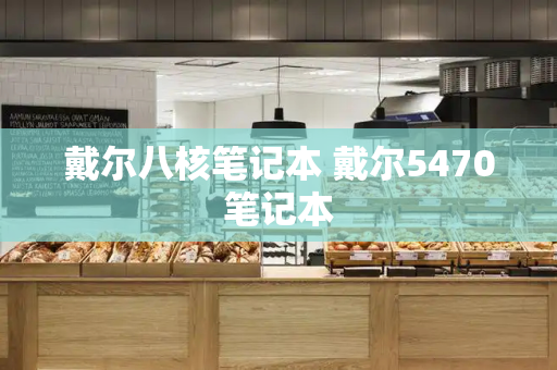 戴尔八核笔记本 戴尔5470笔记本-第1张图片-星选测评