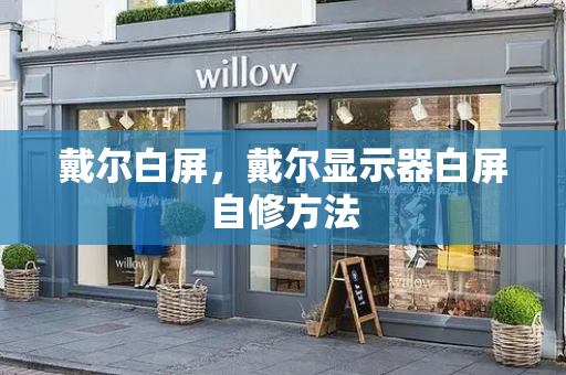 戴尔白屏，戴尔显示器白屏自修方法