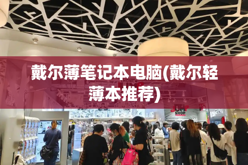 戴尔薄笔记本电脑(戴尔轻薄本推荐)-第1张图片-星选测评