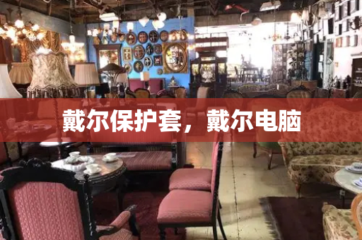 戴尔保护套，戴尔电脑-第1张图片-星选测评