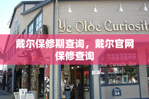 戴尔保修期查询，戴尔官网保修查询-第1张图片-星选测评