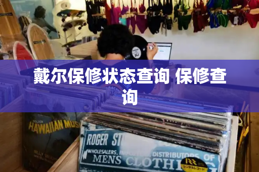 戴尔保修状态查询 保修查询-第1张图片-星选测评