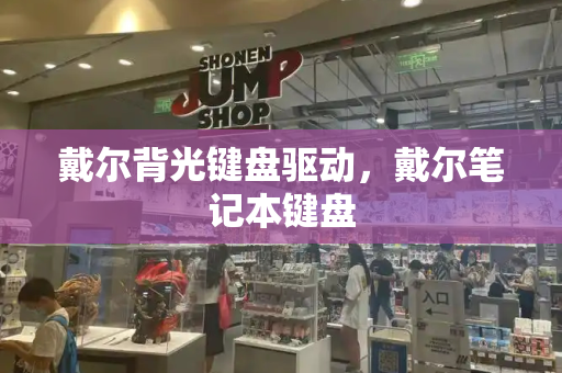 戴尔背光键盘驱动，戴尔笔记本键盘-第1张图片-星选测评