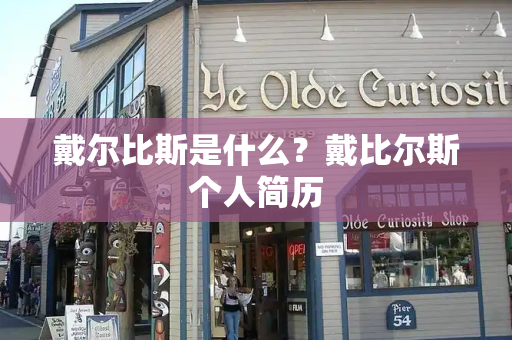 戴尔比斯是什么？戴比尔斯个人简历