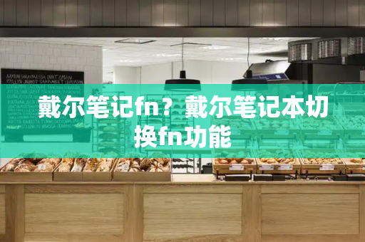 戴尔笔记fn？戴尔笔记本切换fn功能-第1张图片-星选测评