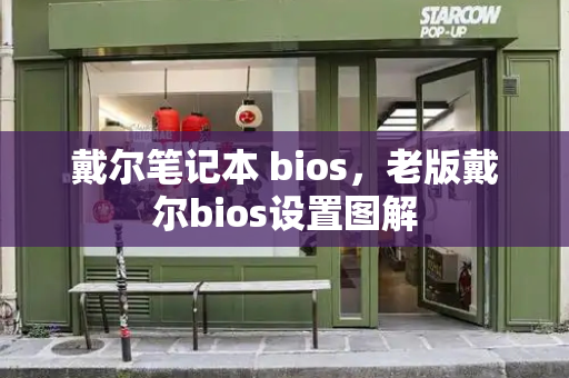 戴尔笔记本 bios，老版戴尔bios设置图解-第1张图片-星选测评