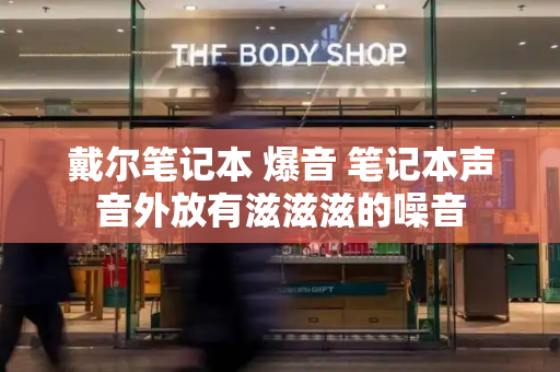 戴尔笔记本 爆音 笔记本声音外放有滋滋滋的噪音