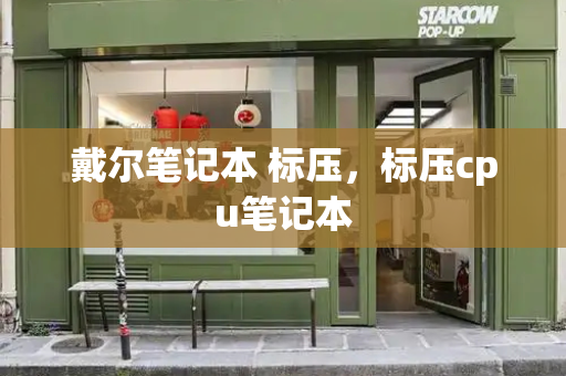 戴尔笔记本 标压，标压cpu笔记本-第1张图片-星选测评