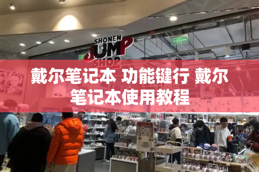 戴尔笔记本 功能键行 戴尔笔记本使用教程-第1张图片-星选测评