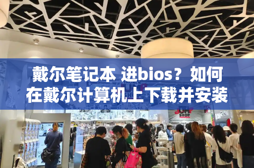 戴尔笔记本 进bios？如何在戴尔计算机上下载并安装最新的 bios-第1张图片-星选测评