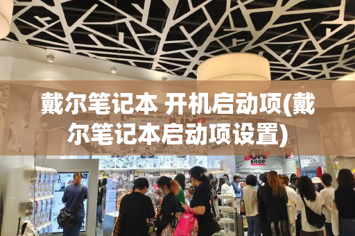 戴尔笔记本 开机启动项(戴尔笔记本启动项设置)-第1张图片-星选测评