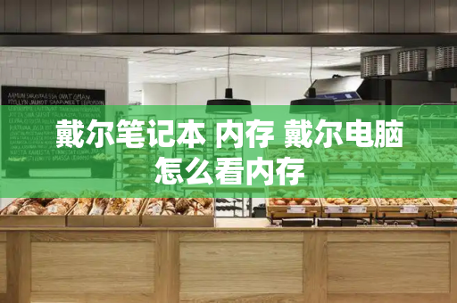 戴尔笔记本 内存 戴尔电脑怎么看内存-第1张图片-星选测评