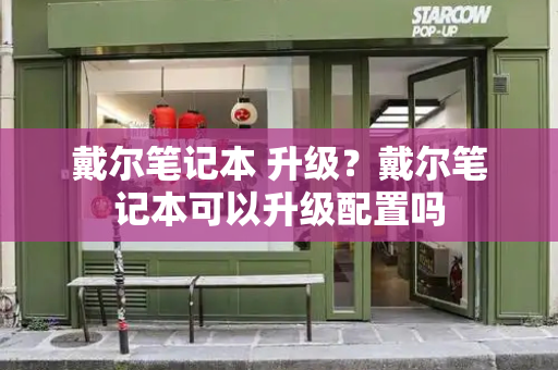 戴尔笔记本 升级？戴尔笔记本可以升级配置吗-第1张图片-星选测评