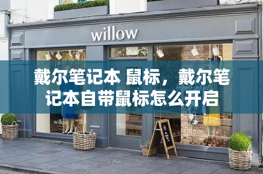 戴尔笔记本 鼠标，戴尔笔记本自带鼠标怎么开启
