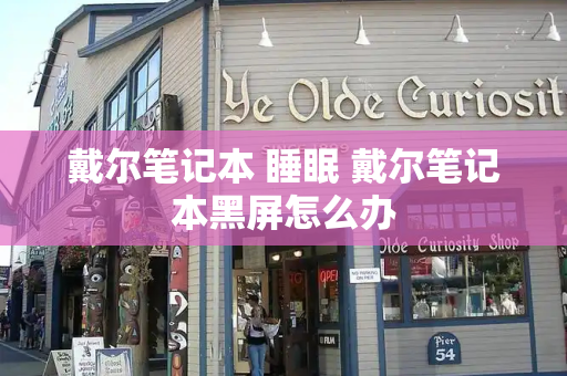 戴尔笔记本 睡眠 戴尔笔记本黑屏怎么办-第1张图片-星选测评