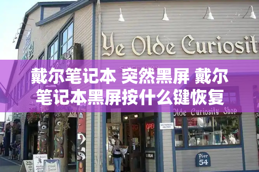 戴尔笔记本 突然黑屏 戴尔笔记本黑屏按什么键恢复-第1张图片-星选测评