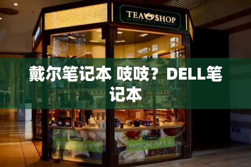 戴尔笔记本 吱吱？DELL笔记本